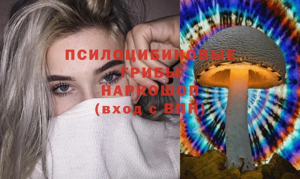 2c-b Нязепетровск