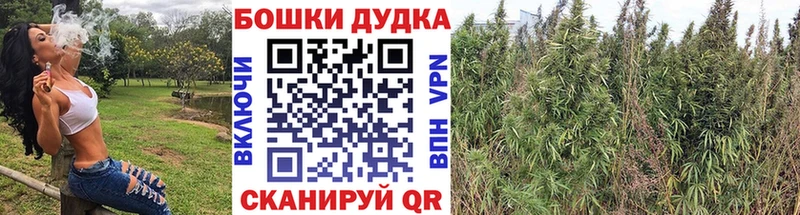 Бошки марихуана AK-47  наркотики  mega зеркало  Правдинск 